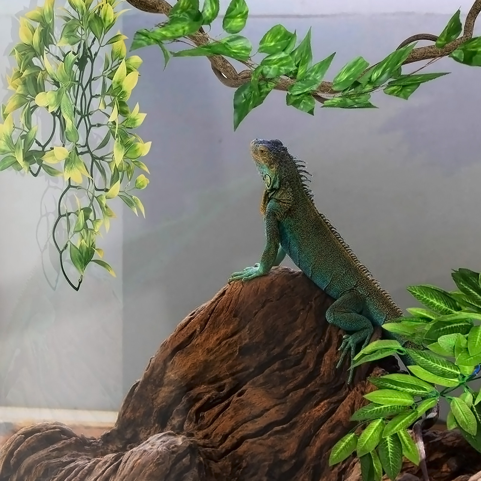 Home Decor Habitat - 3Pcs Vine Plant Decoration Reptile Habitat