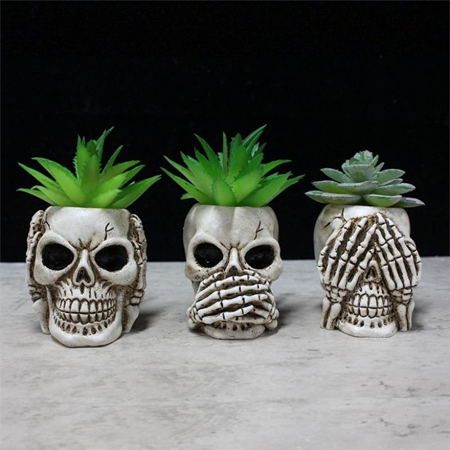 Succulent Planter Pot - Succulent Pots with Drainage, Mini Skull