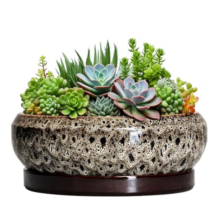 Succulent Planter Pot - Succulent Pots - Ceramic Bonsai Pots