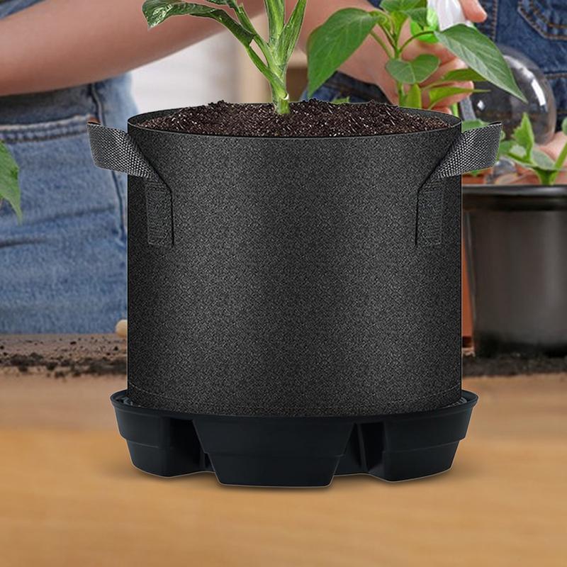 Auto Watering For Plants Indoo - Succulent Planter Pot reseña y precio