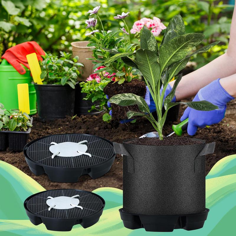 Auto Watering For Plants Indoo - Succulent Planter Pot reseña y precio