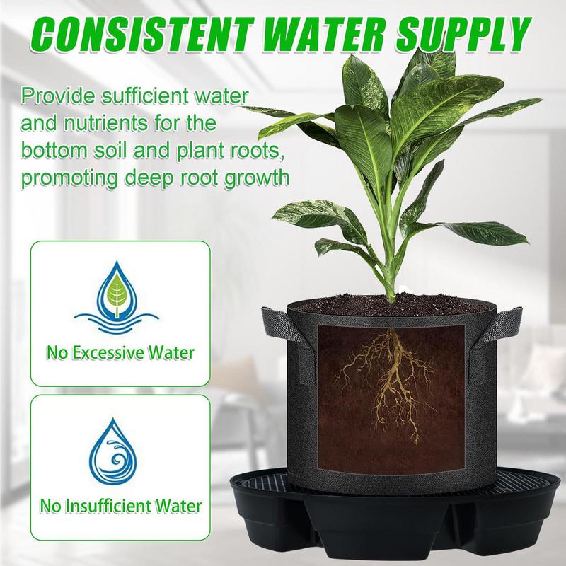 Auto Watering For Plants Indoo - Succulent Planter Pot reseña y precio