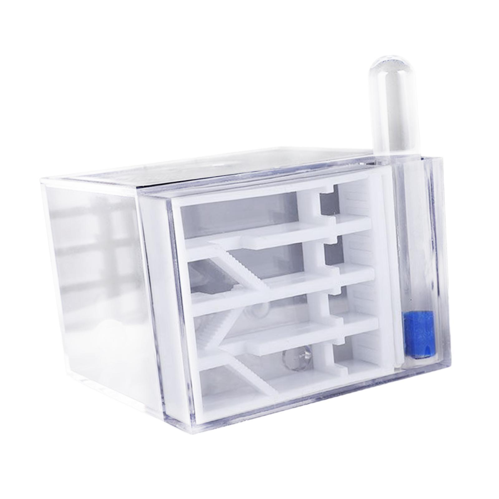 ANT Farm DIY Science Education - Home Decor Habitat reseña y precio