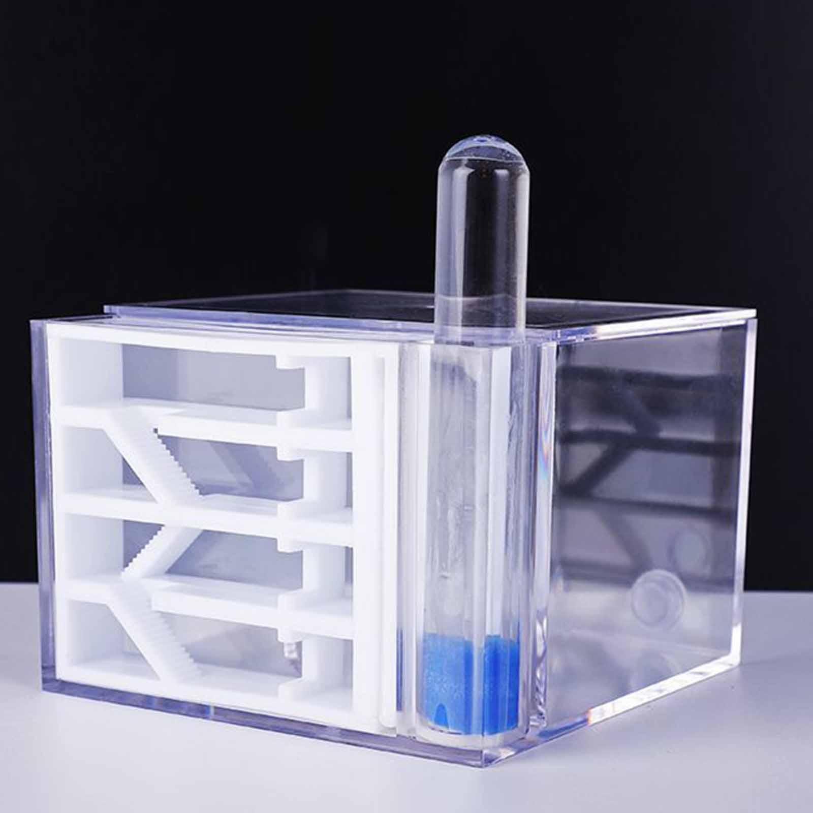 ANT Farm DIY Science Education - Home Decor Habitat reseña y precio