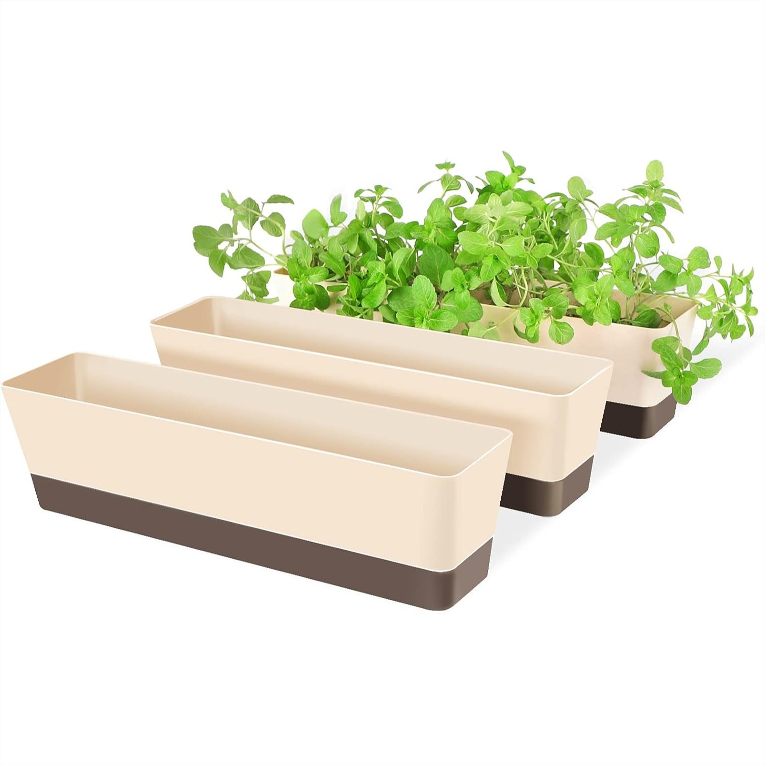 Window Box Herb Planters, 3 Pa - Succulent Planter Pot reseña y precio