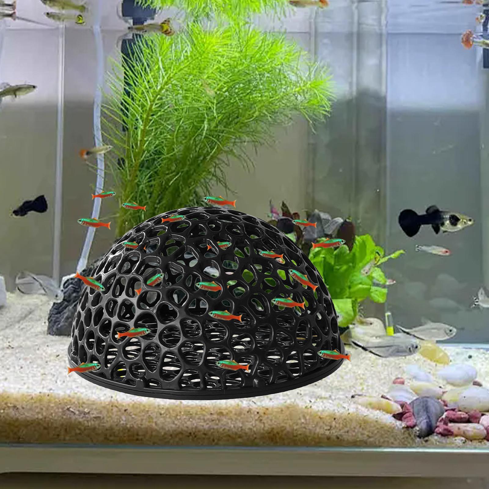 Shrimp Breeding Cave fish tank - Home Decor Habitat reseña y precio
