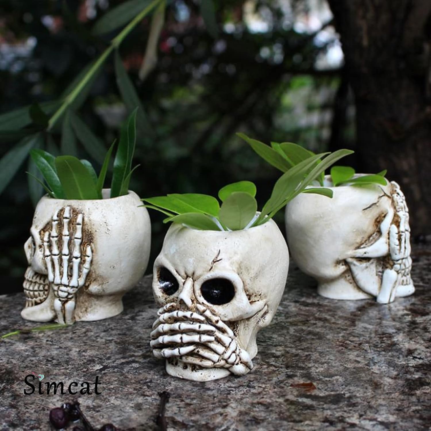 Succulent Pots with Drainage,  - Succulent Planter Pot reseña y precio