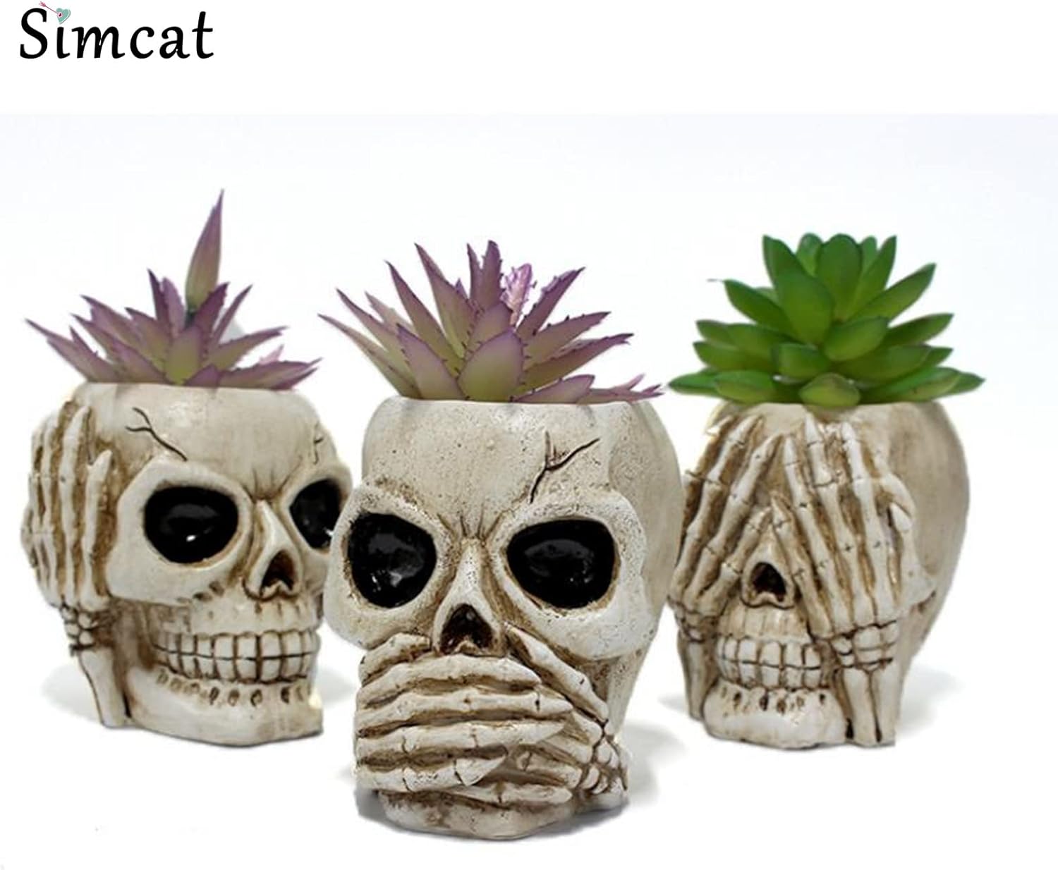 Succulent Pots with Drainage,  - Succulent Planter Pot reseña y precio