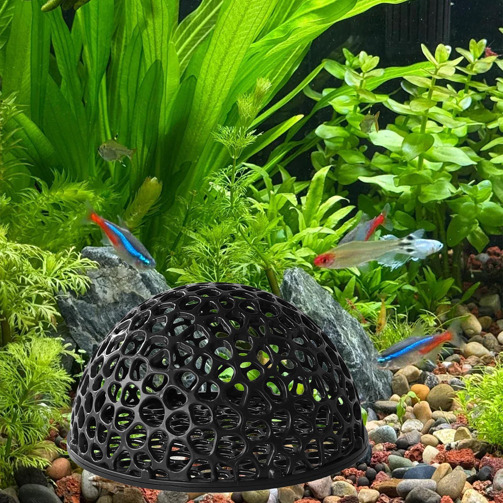 Shrimp Breeding Cave Shrimp Hi - Home Decor Habitat reseña y precio