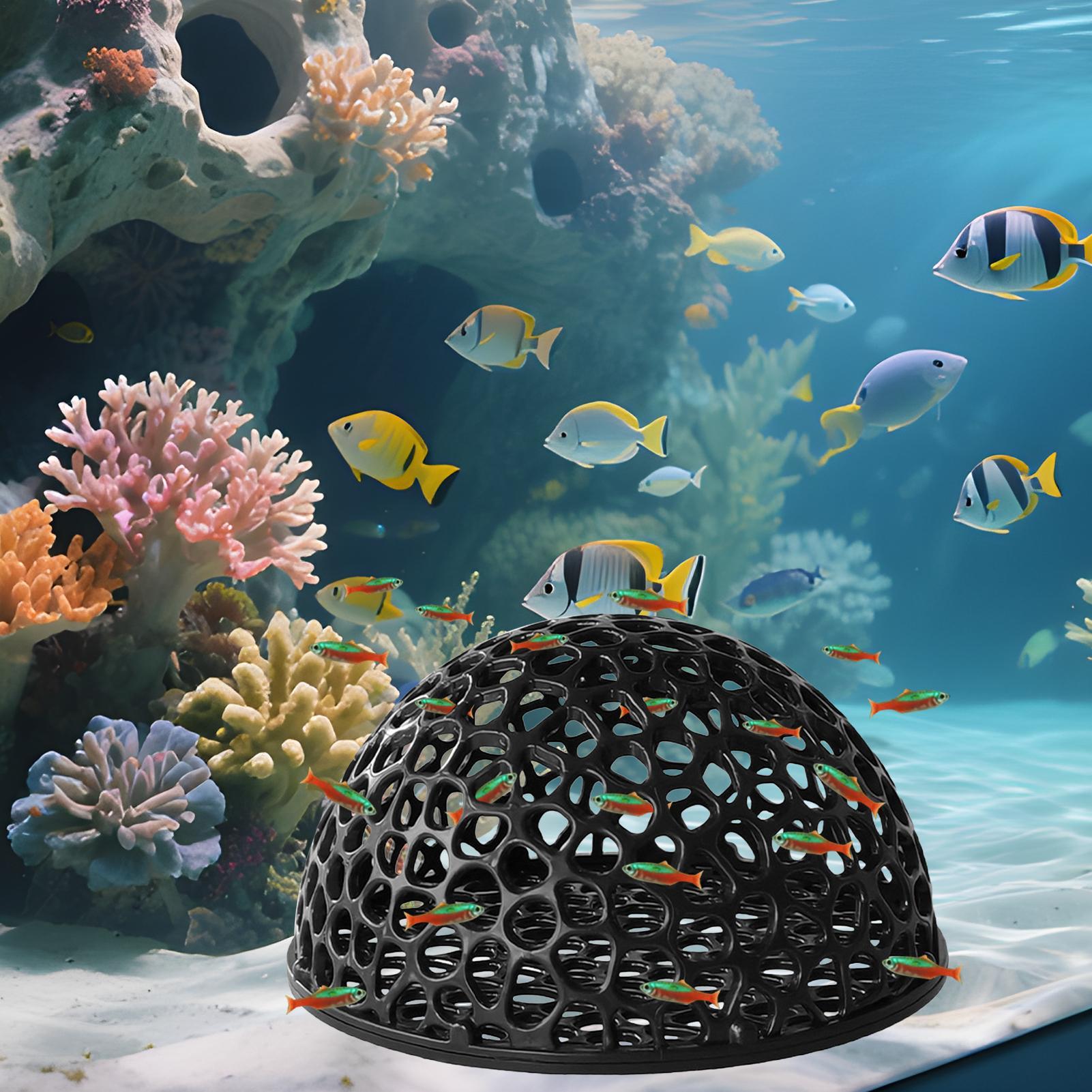 Shrimp Breeding Cave Shrimp Hi - Home Decor Habitat reseña y precio