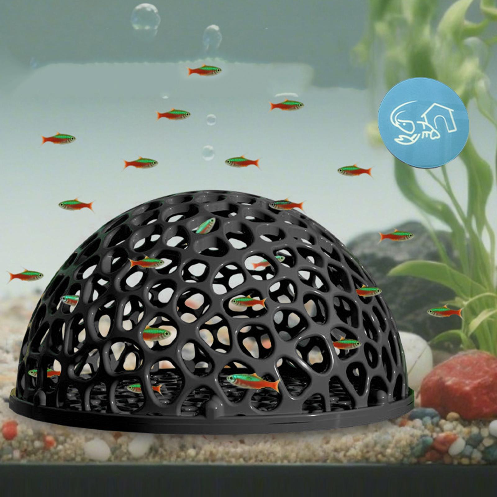 Shrimp Breeding Cave Shrimp Hi - Home Decor Habitat reseña y precio