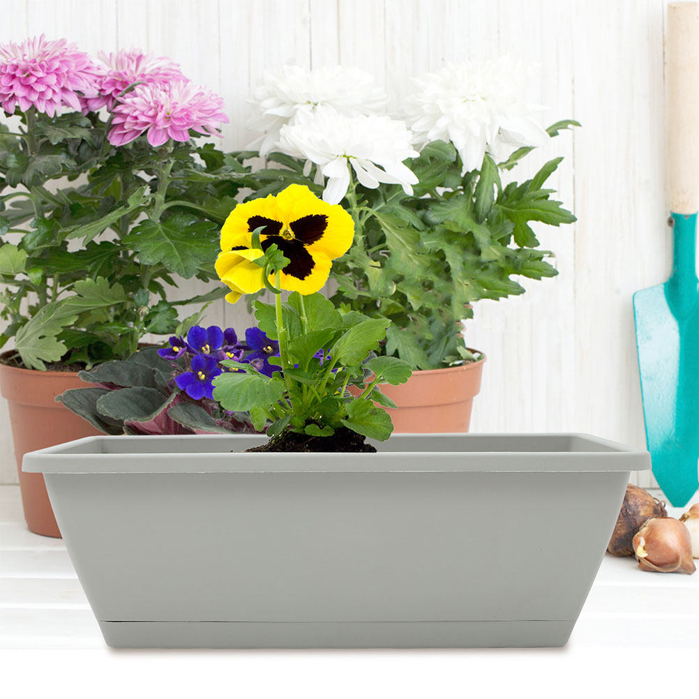 4Pcs Vegetable Planter Box Flo - Succulent Planter Pot reseña y precio