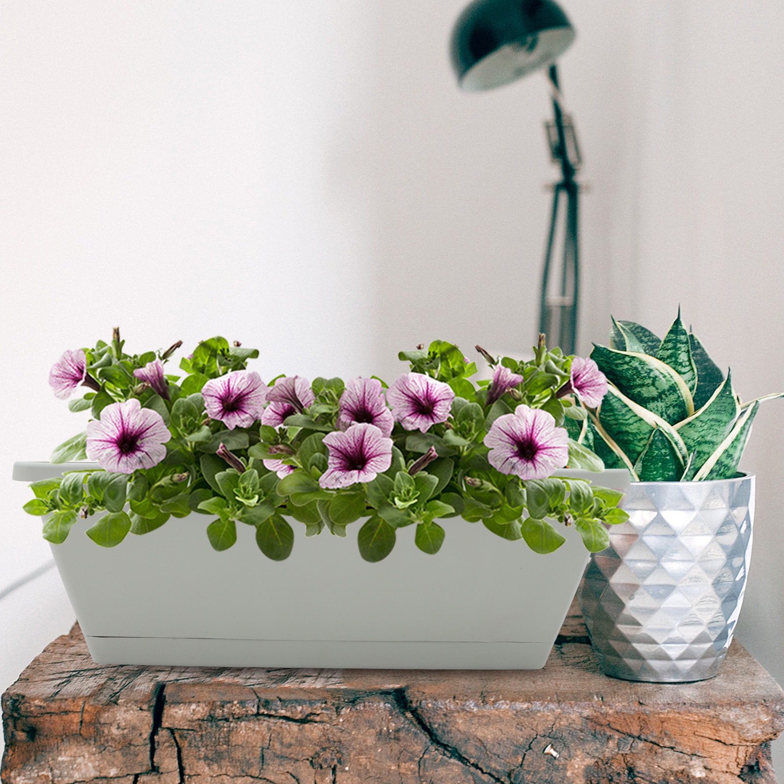 4Sets Window Sill Planter Box  - Succulent Planter Pot reseña y precio