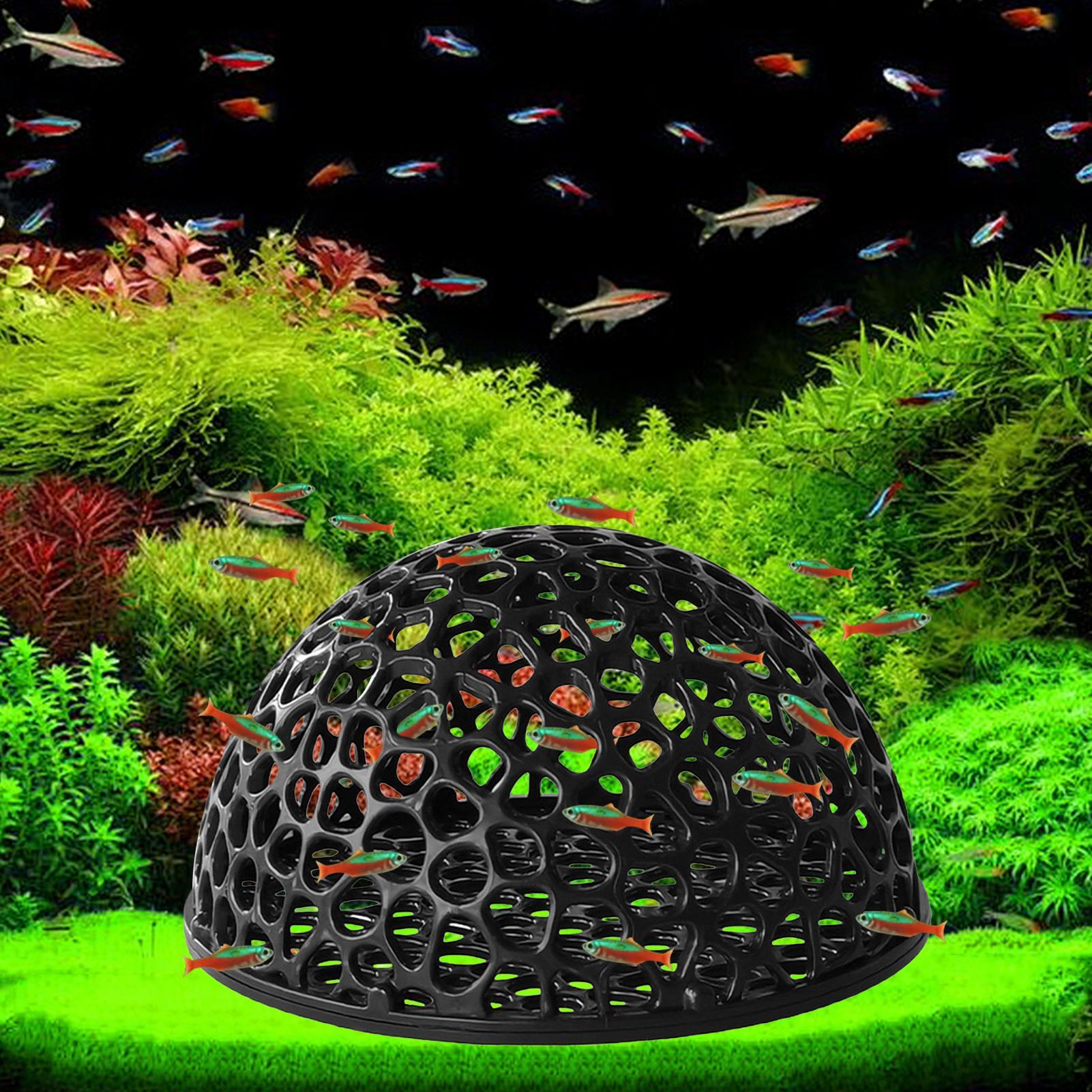 Shrimp Hide Breeding Hide Shri - Home Decor Habitat reseña y precio