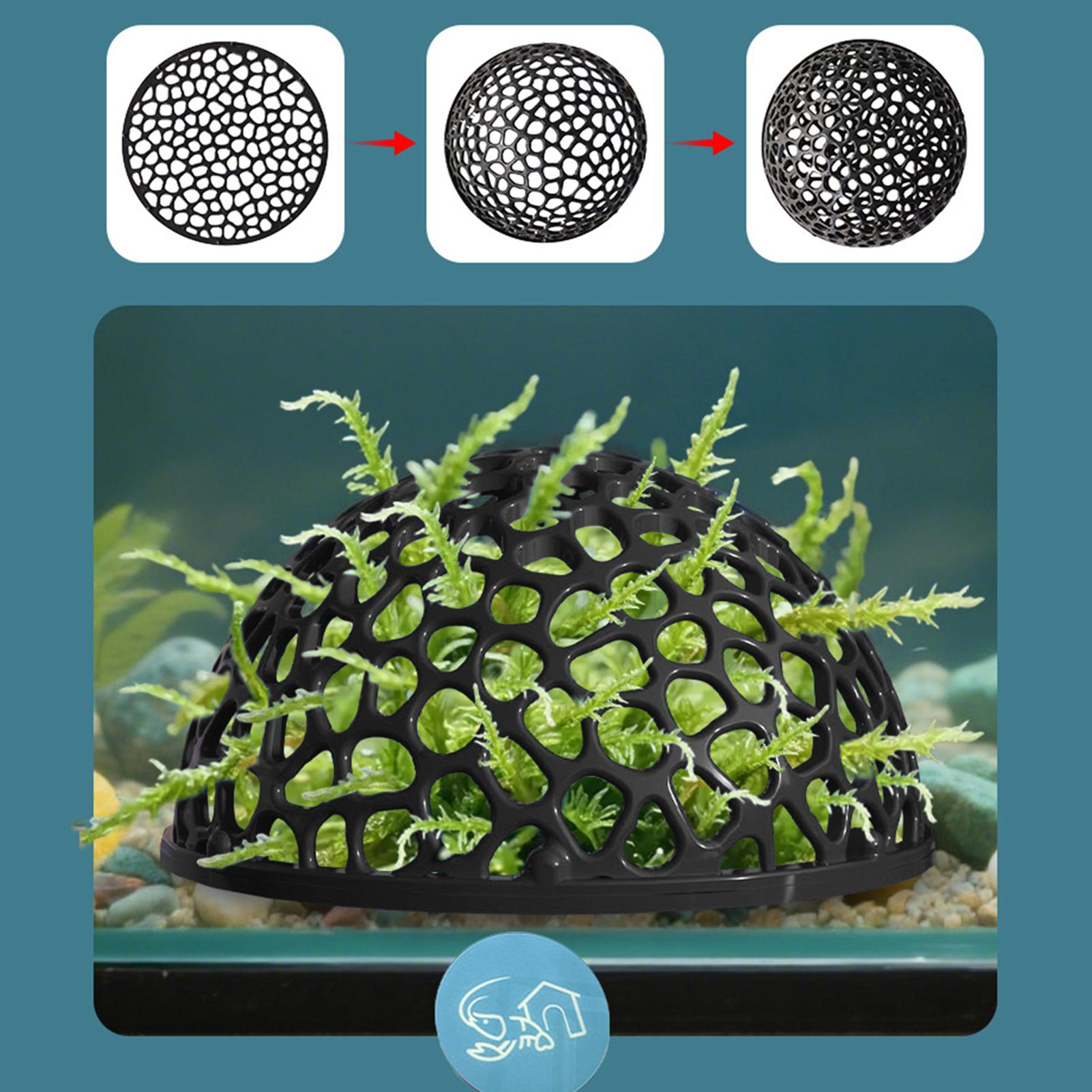 Shrimp Hide Breeding Hide Shri - Home Decor Habitat reseña y precio
