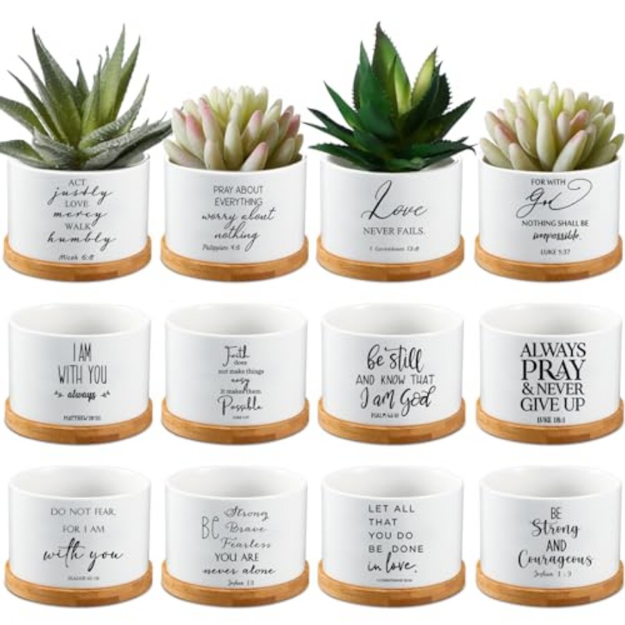 24 Set Christian Easter Gift B - Succulent Planter Pot reseña y precio