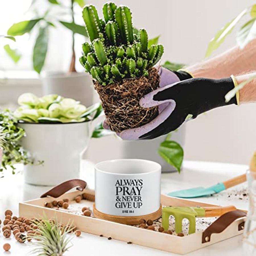 24 Set Christian Easter Gift B - Succulent Planter Pot reseña y precio