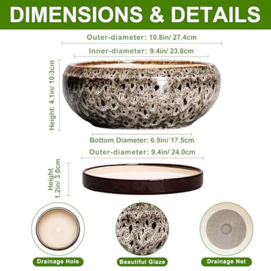 Succulent Pots - Ceramic Bonsa - Succulent Planter Pot reseña y precio