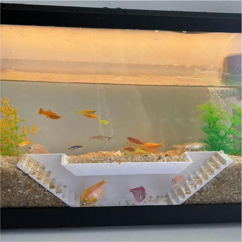 Shrimp Tunnel Shrimp Cave Deco - Home Decor Habitat reseña y precio