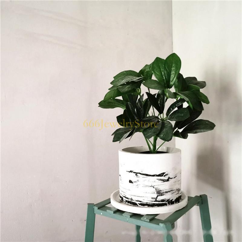 F2TD Large Round Concrete Flow - Succulent Planter Pot reseña y precio