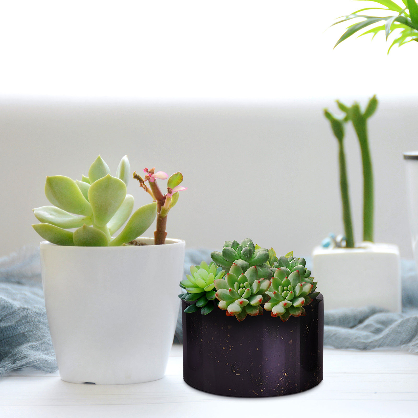 1Pcs Silicone Flower Pot Mold  - Succulent Planter Pot reseña y precio