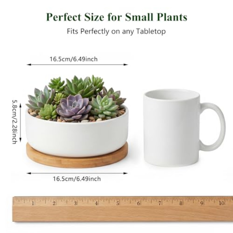 Succulent Pots6 ch Succulent P - Succulent Planter Pot reseña y precio