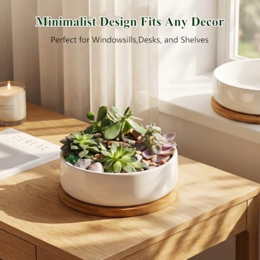 Succulent Pots6 ch Succulent P - Succulent Planter Pot reseña y precio