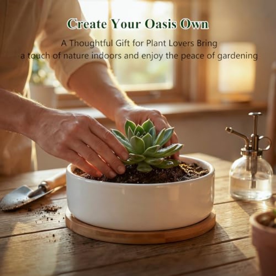 Succulent Pots6 ch Succulent P - Succulent Planter Pot reseña y precio