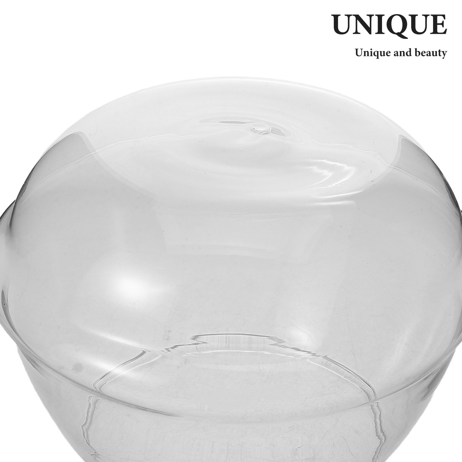 Hydroponic Glass Bowl Transpar - Succulent Planter Pot reseña y precio