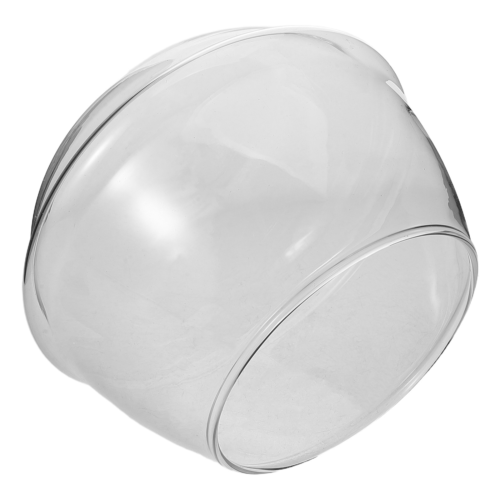 Hydroponic Glass Bowl Transpar - Succulent Planter Pot reseña y precio