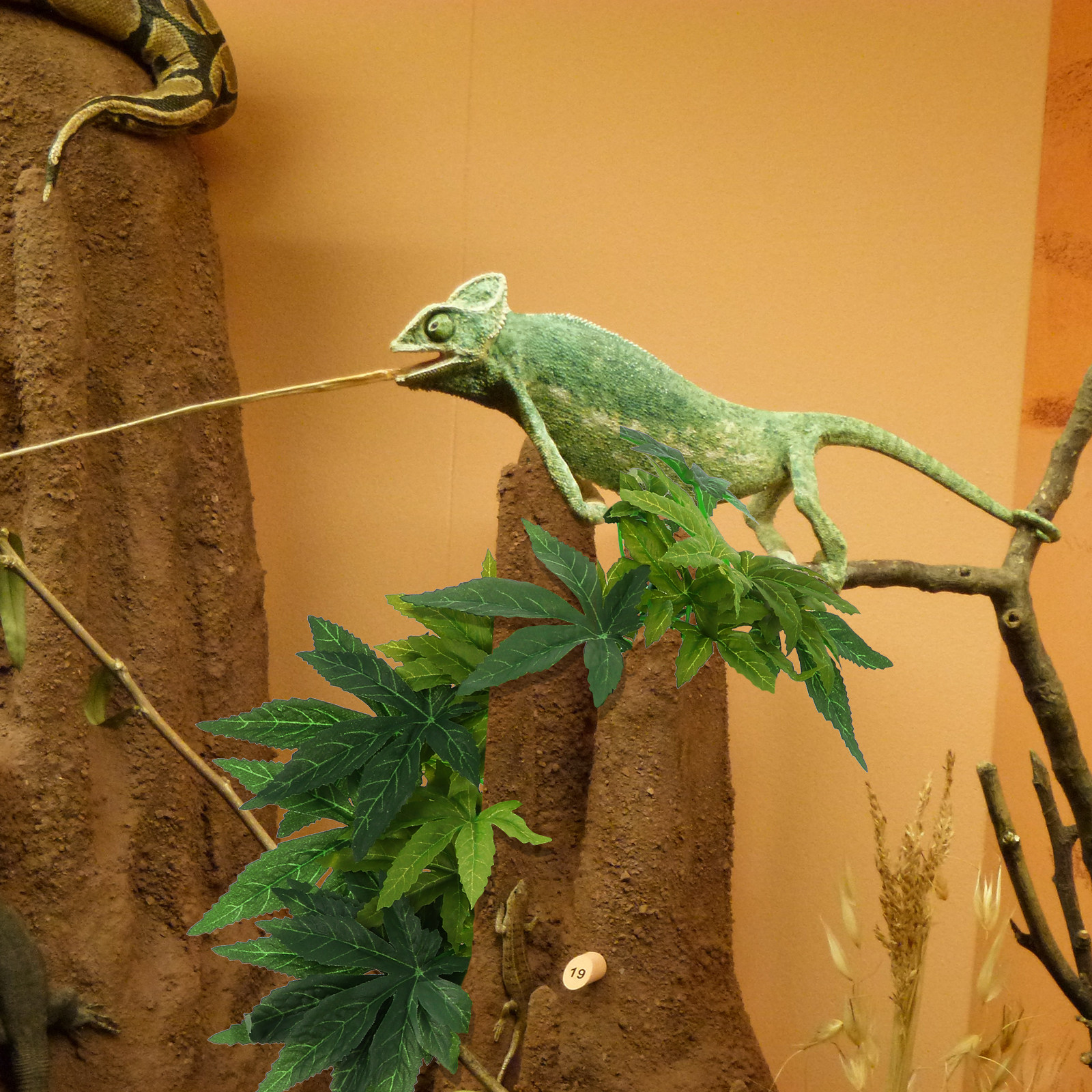 Artificial Rattan Reptile Vine - Home Decor Habitat reseña y precio