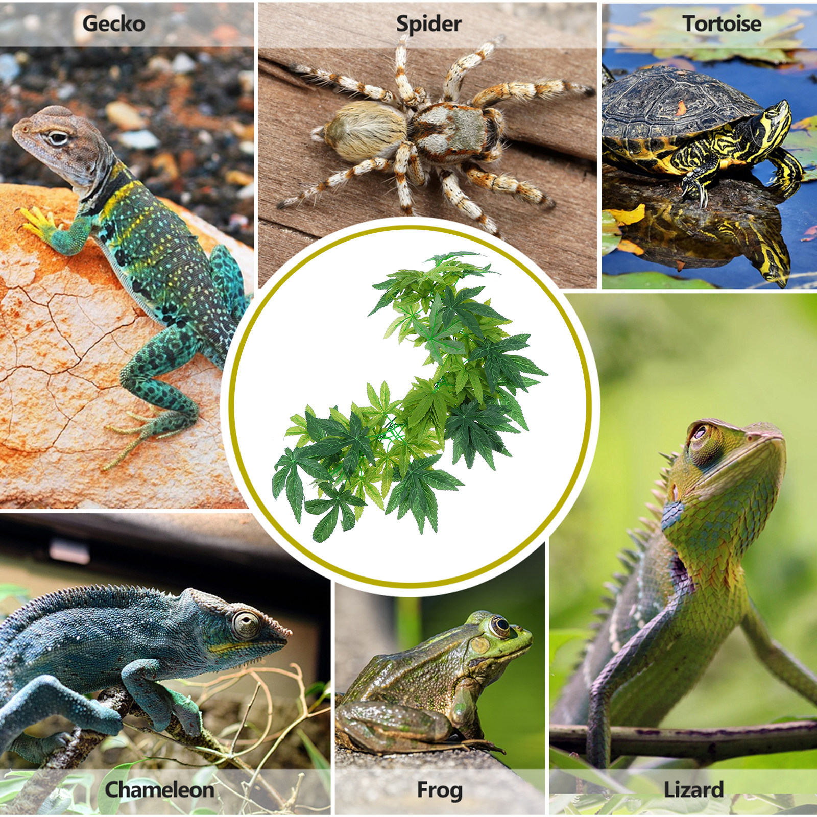 Artificial Rattan Reptile Vine - Home Decor Habitat reseña y precio